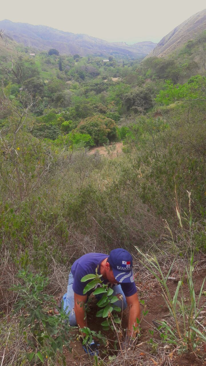 ECOGENESIS (2)